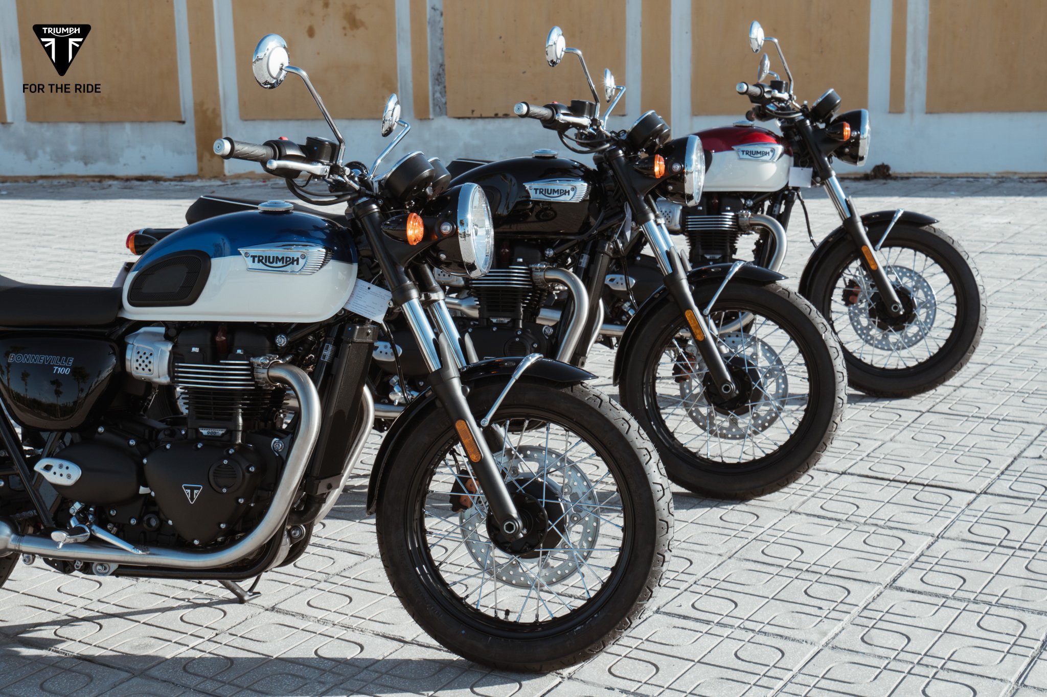 8979788d1392e4ccbd83